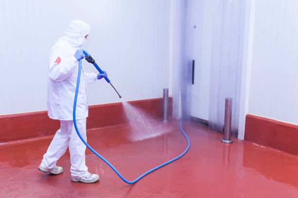 Best Solar Panel Cleaning  in Searingtown, NY